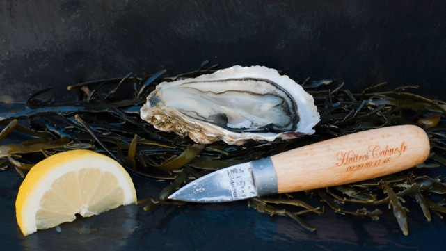 Couteau à huîtres professionnel de Cancale
